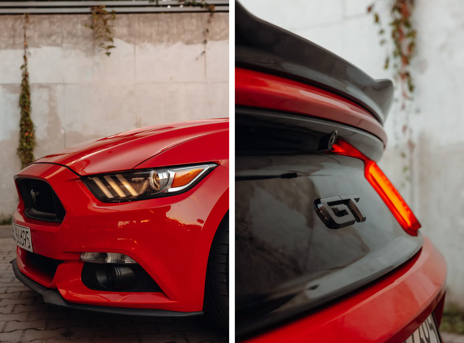 mustang gt - Motoryzacja