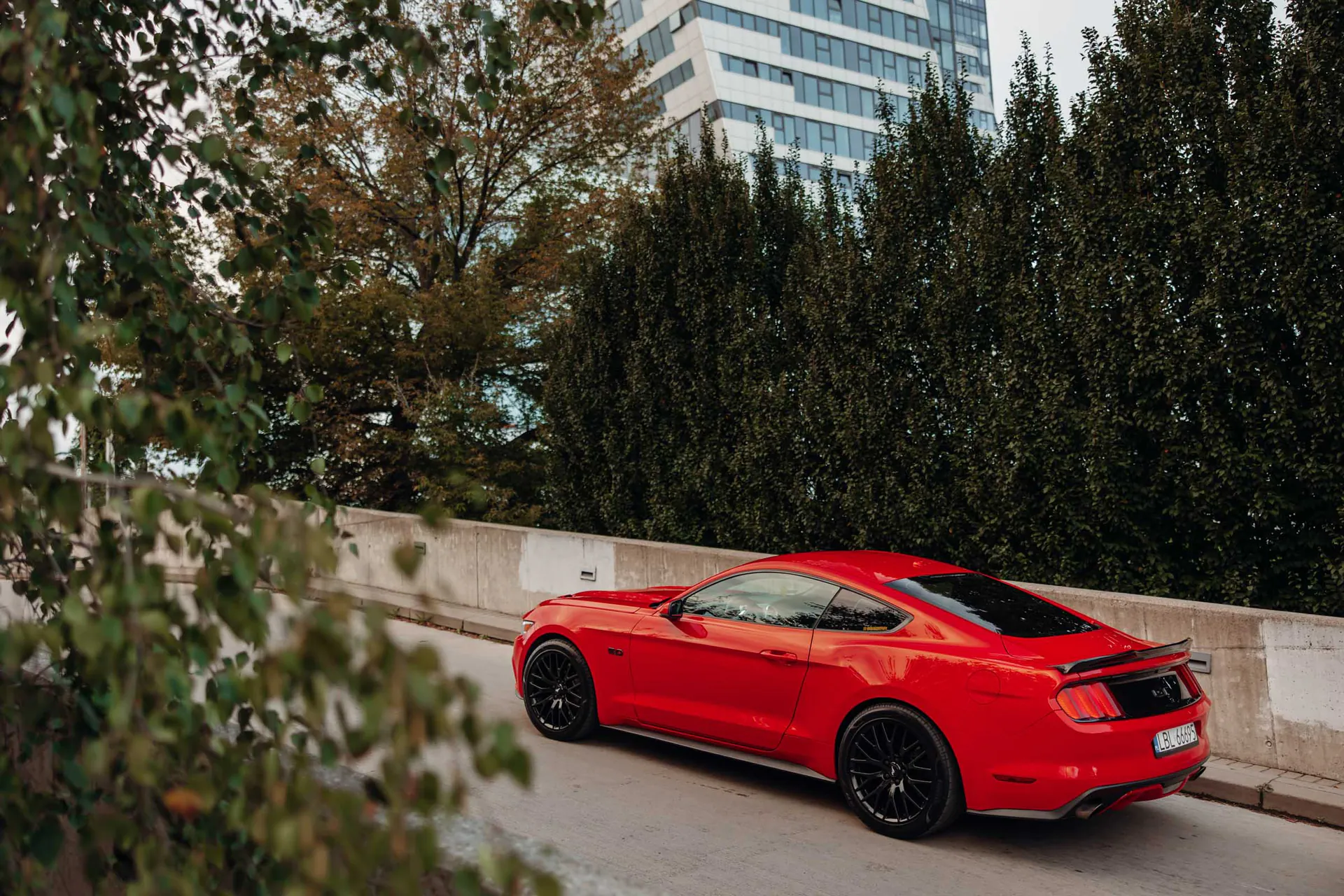 mustang gt - Motoryzacja