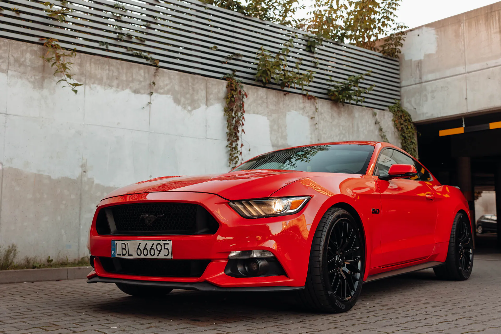 Mustang GT - Motoryzacja